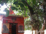 Jungle Hanuman Temple, Bangalpet, Nirmal