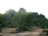 Another temple on the mountain near to the Narsimhaswamy temple