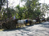 Tribal Thanda - On the way to Kawal Wildlife Sanctuary