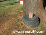 Shiva Lingam near Hanuman Temple, Soan